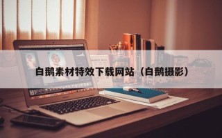 安宁白鹅素材特效下载网站（白鹅摄影）